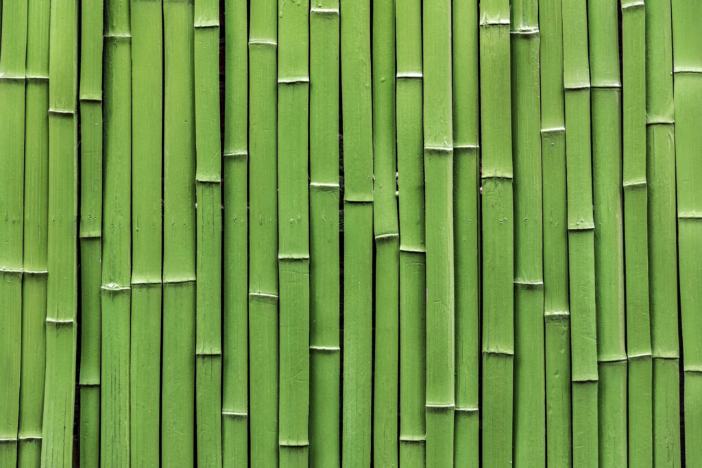 Dicht aneinandergereihte, leuchtend grüne Bambusstäbe, die eine natürliche und beruhigende Hintergrundtextur bilden.