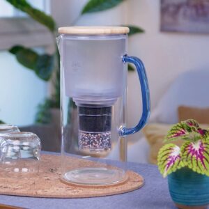 Eine elegante Wasserfilter-Karaffe aus Glas mit Holzdeckel und blauem Griff steht gefüllt auf einem Tisch neben einem Glas und einer Pflanze.